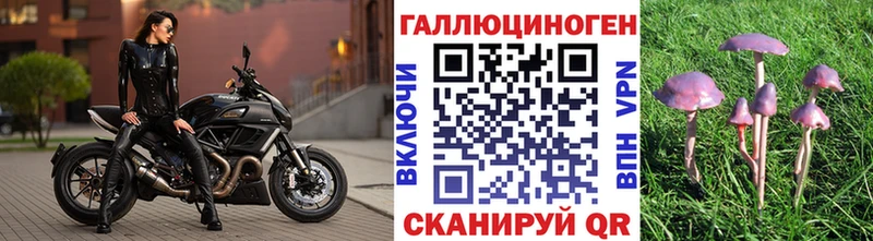 Галлюциногенные грибы мухоморы  Купить  Мамадыш 