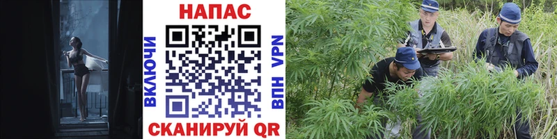 Марихуана OG Kush  Купить где  Мамадыш 